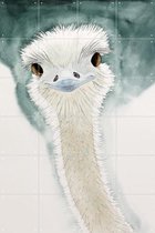 IXXI Happy Ostrich - Wanddecoratie - Dieren en insecten - 80 x 120 cm
