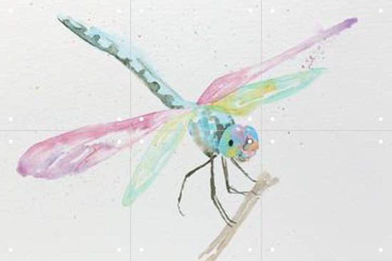 IXXI Dragonfly - Wanddecoratie - Artiesten en Schilders - 60 x 40 cm