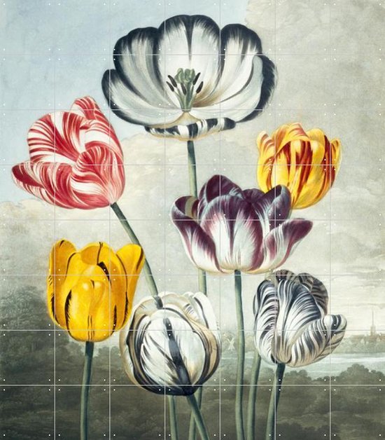 IXXI Tulips - Wanddecoratie - Bloemen en Planten - 140 x 160 cm