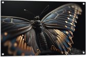Tuinposter – Vlinder met Zwarte Vleugels met Gouden Details - 90x60 cm Foto op Tuinposter (wanddecoratie voor buiten en binnen)