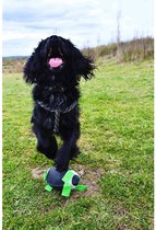 Gioco Ballon de Rugby - Ballon pour chien - jouet pour chien