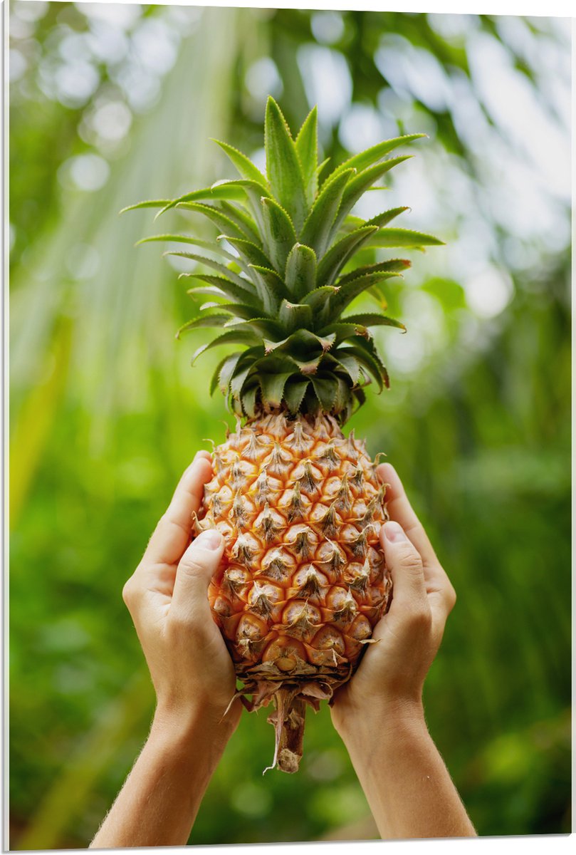Acrylglas - Verse tropische Ananas in Mensenhanden - 60x90 cm Foto op Acrylglas (Met Ophangsysteem)