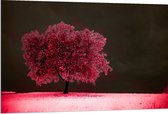 Dibond - Boom - Landschap - Roze - Bladeren - 120x80 cm Foto op Aluminium (Wanddecoratie van metaal)