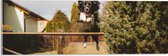 Acrylglas - Dieren - Hond - Tuin - Planten - Springen - 60x20 cm Foto op Acrylglas (Met Ophangsysteem)