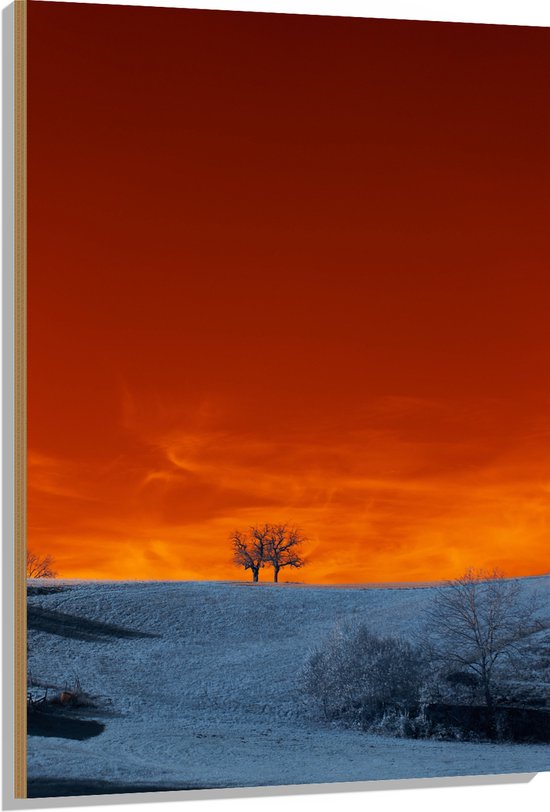 Hout - Bomen - Landschap - Sneeuw - Oranje - Lucht - 80x120 cm - 9 mm dik - Foto op Hout (Met Ophangsysteem)