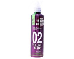 Volumegevend Spray Root Lifter Salerm - Haarspray - 250 ml