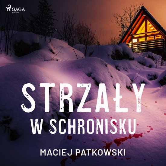 Strzały w schronisku - cover
