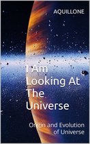 I Am Looking At The Universe