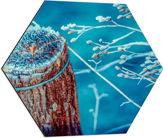 Dibond Hexagon - Paal - Hout - Boom - Takken - Knopjes - 60x52.2 cm Foto op Hexagon (Met Ophangsysteem)