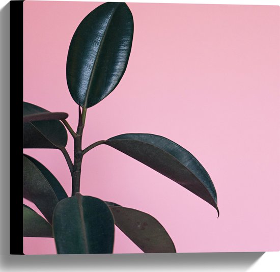 Canvas - Plant - Bladeren - Steel - Roze - Groen - 40x40 cm Foto op Canvas Schilderij (Wanddecoratie op Canvas)