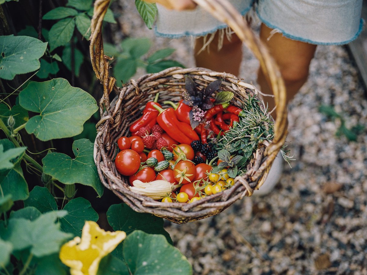 Floors moestuin — cadeau in Boeken - foto 3