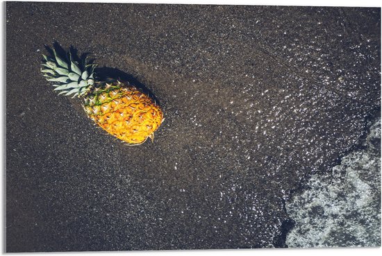 Acrylglas - Ananas op het Strand met Zee - 75x50 cm Foto op Acrylglas (Met Ophangsysteem)