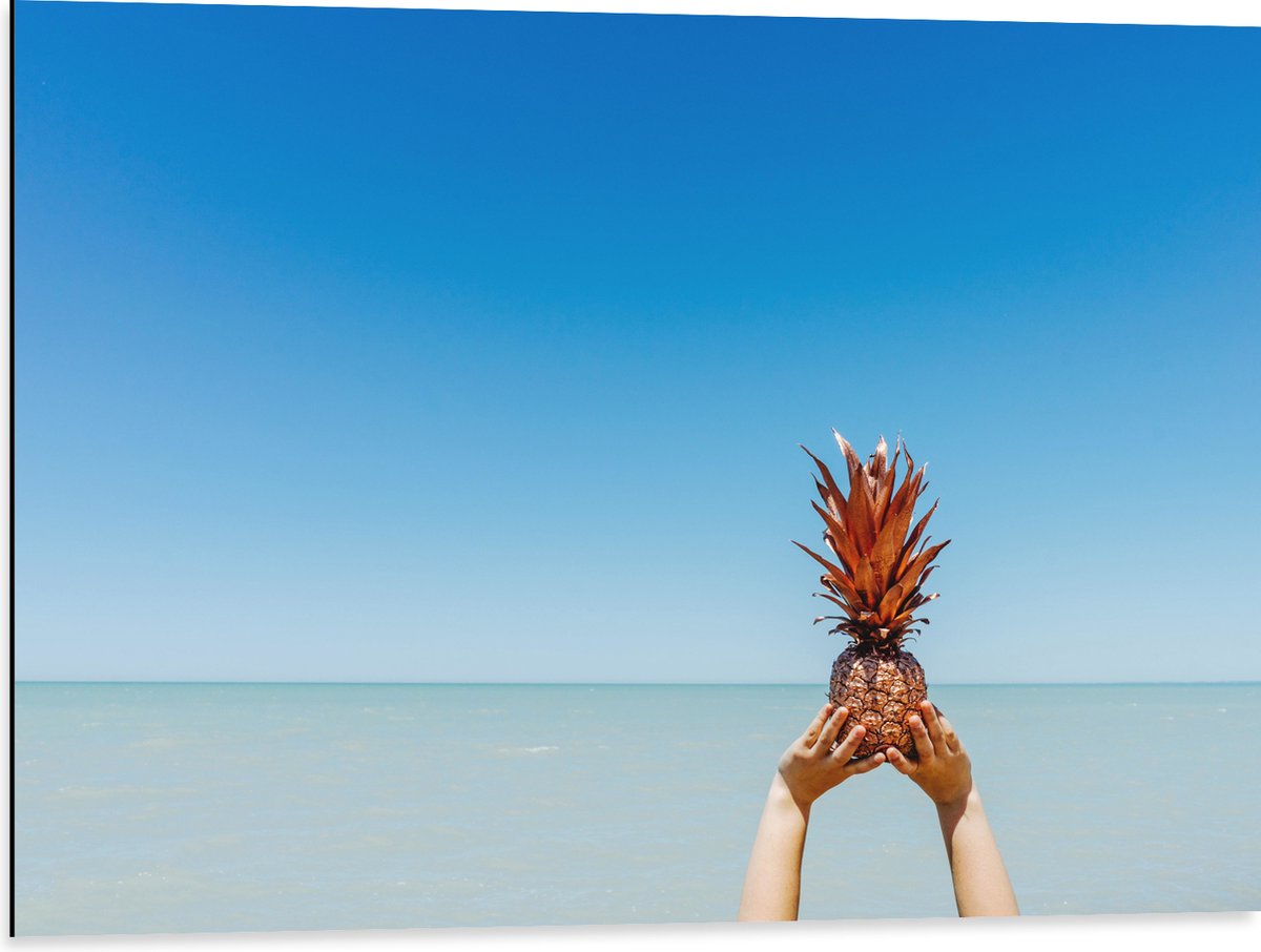 Dibond - Ananas in Handen bij het Water - 80x60 cm Foto op Aluminium (Wanddecoratie van metaal)