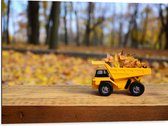 Dibond - Gele Mini Kiepwagen Gevuld met Herfstbladeren in het Bos - 80x60 cm Foto op Aluminium (Met Ophangsysteem)