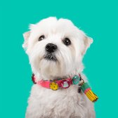 DWAM Dog with a Mission – Halsband Hond – Hondenhalsband – Roze – Leer – S – Halsomvang tussen 27-33 cm – Miami Spice