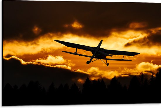 Dibond - Silhouet van Stuntvliegtuig boven de Bomen tijdens Zonsondergang - 75x50 cm Foto op Aluminium (Wanddecoratie van metaal)