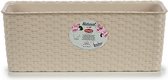 Plantenbak Stefanplast 15,5 x 13,5 x 38,5 cm Beige Plastic (12 Stuks)