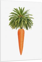Vlag - Wortel aan Palmboom Bladeren tegen Witte Achtergrond - 100x150 cm Foto op Polyester Vlag