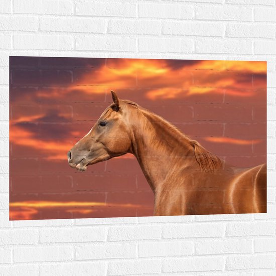 Muursticker - Zijaanzicht van Glanzend Bruin Paard onder Oranje Gloed in de Lucht - 105x70 cm Foto op Muursticker