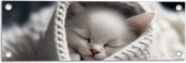 Tuinposter – Witte Kitten in Gebreide Sjaal - 60x20 cm Foto op Tuinposter (wanddecoratie voor buiten en binnen)