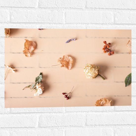 Muursticker - Verschillende Soorten Gedroogde Bloemen tegen Beige Achtergrond - 60x40 cm Foto op Muursticker