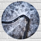 Muursticker Cirkel - Sneeuw - Bomen - Bossen - Voertuigen - Auto - Weg - 40x40 cm Foto op Muursticker