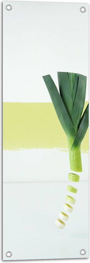 Tuinposter – Plant - Prei - Eten - Groente - Groen - 30x90 cm Foto op Tuinposter (wanddecoratie voor buiten en binnen)