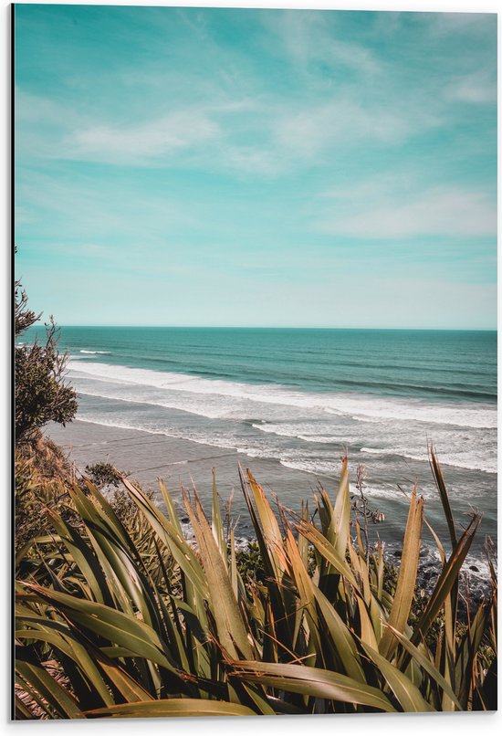 Dibond - Planten - Bomen - Zee - Golven - Water - Kleuren - 40x60 cm Foto op Aluminium (Wanddecoratie van metaal)