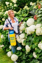 GLORIA Drukspuit prima 5 Comfort | 5L plantenspuit met spiraalslang & draagriem | comfortabel, krachtig & ideaal voor tuinwerk