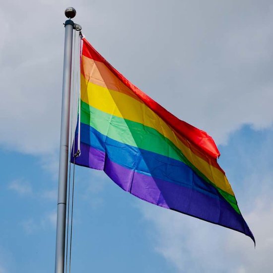 Pride Regenboog Vlag Hoge Kwaliteit Regenboogvlag X Cm The