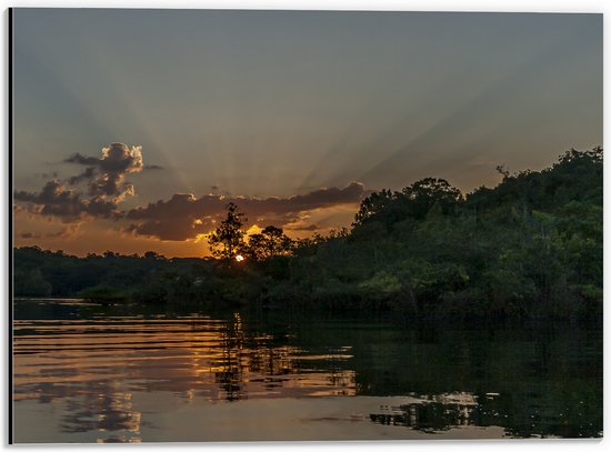 Dibond - Zon achter de Bomen langs Meer - 40x30 cm Foto op Aluminium (Wanddecoratie van metaal)