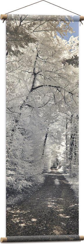 Textielposter - Pad - Bomen - Bossen - Planten - Wit - Bruin - 40x120 cm Foto op Textiel