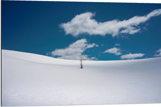 Dibond - Landschap - Sneeuw - Boompje - 90x60 cm Foto op Aluminium (Met Ophangsysteem)