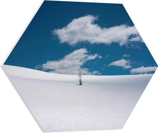 PVC Schuimplaat Hexagon - Landschap - Sneeuw - Boompje - 60x52.2 cm Foto op Hexagon (Met Ophangsysteem)