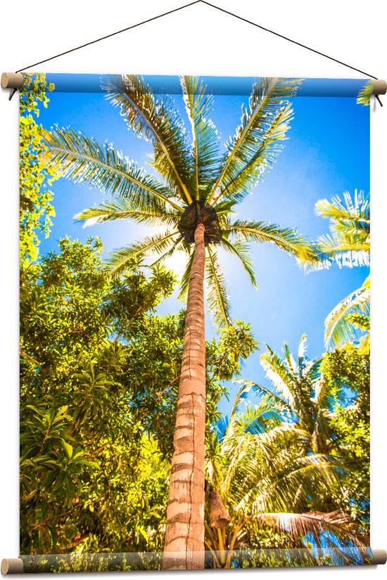 Textielposter - Palmbomen Beschijnd door Zon - 60x80 cm Foto op Textiel