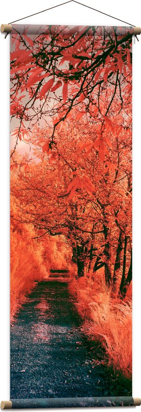 Textielposter - Pad - Bomen - Bossen - Planten - Kleuren - Roze - Oranje - 40x120 cm Foto op Textiel