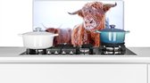 Spatscherm Keuken - Kookplaat Achterwand - Spatwand Fornuis - 60x30 cm - Schotse hooglander - Sneeuw - Vacht - Aluminium - Wanddecoratie - Muurbeschermer - Hittebestendig