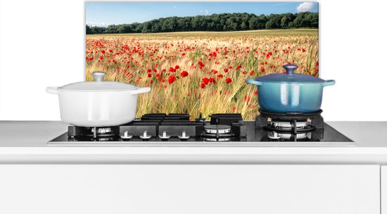 Fotoprint natuur op keuken spatscherm in Eindhoven