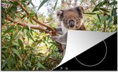 KitchenYeah® Inductie beschermer 81x52 cm - Koala - Bladeren - Takken - Kinderen - Jongens - Meiden - Kookplaataccessoires - Afdekplaat voor kookplaat - Inductiebeschermer - Inductiemat - Inductieplaat mat
