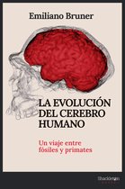 Ciencia - La evolución del cerebro humano