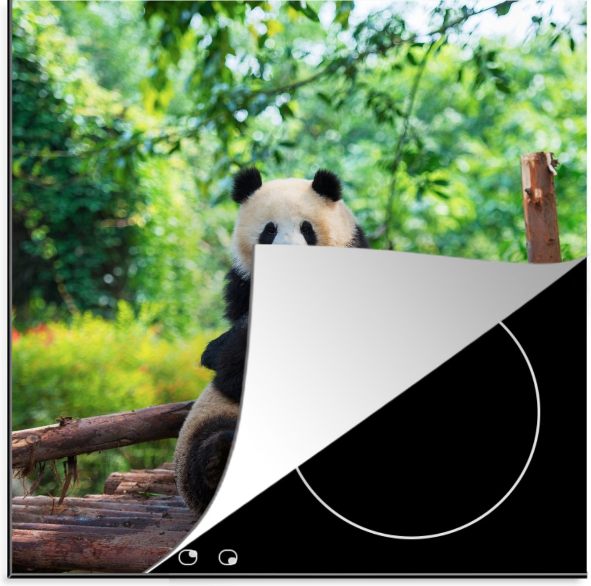 KitchenYeah® Inductie beschermer 78x78 cm - Panda - Brug - Natuur - Kookplaataccessoires - Afdekplaat voor kookplaat - Inductiebeschermer - Inductiemat - Inductieplaat mat