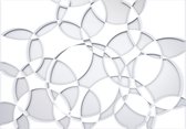 Grey White Abstract Cirlces Photo Wallcovering