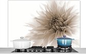 Spatscherm keuken 120x80 cm - Kookplaat achterwand Bloemen - Wit - Natuur - Botanisch - Muurbeschermer - Spatwand fornuis - Hoogwaardig aluminium