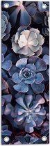 Tuinposter – Bloemen - Bovenaanzicht - Blauw - Paars - Bladeren - 20x60 cm Foto op Tuinposter (wanddecoratie voor buiten en binnen)