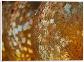 PVC Schuimplaat- Close-up van Bolvormige Gouden Ballen - 40x30 cm Foto op PVC Schuimplaat