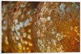 PVC Schuimplaat- Close-up van Bolvormige Gouden Ballen - 60x40 cm Foto op PVC Schuimplaat
