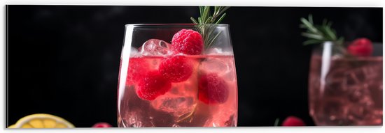 Dibond - Frambozen Cocktail in Glas - 60x20 cm Foto op Aluminium (Wanddecoratie van metaal)