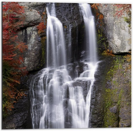 Dibond - Berg - Waterval - Water - Bomen - 50x50 cm Foto op Aluminium (Wanddecoratie van metaal)