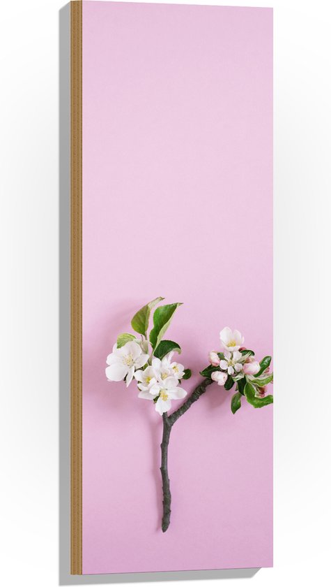 Set Van 50 Kurkborstels Met Bloemen- En Bladmotief – 1,88 Cm, Hars/metaal, In Opbergdoos – Voor Notities, Foto’s En Kurkplaten
