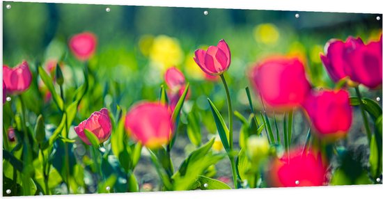 Tuinposter – Veld van Roze Bloeiende Bloemen - 200x100 cm Foto op Tuinposter (wanddecoratie voor buiten en binnen)